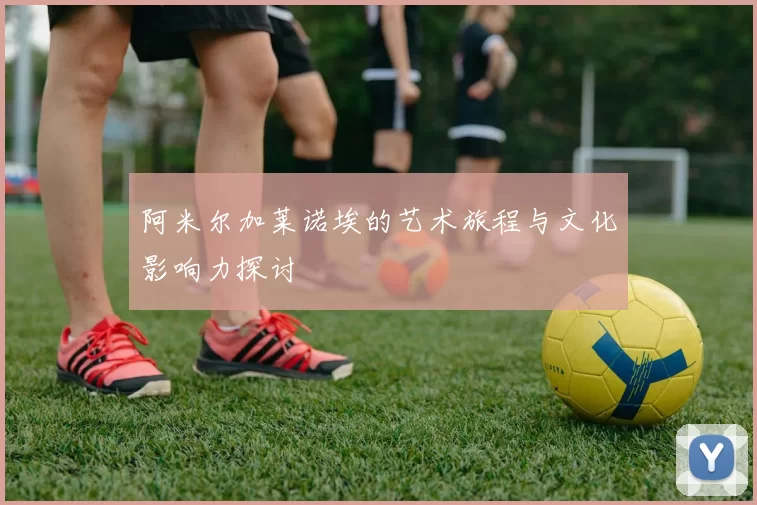 阿米尔加莱诺埃的艺术旅程与文化影响力探讨