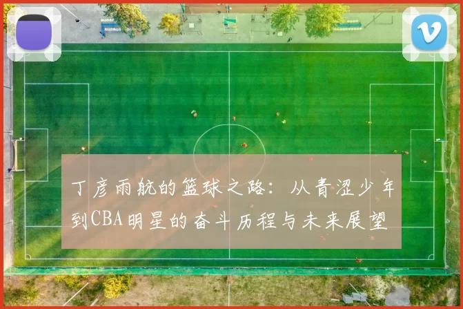 丁彦雨航的篮球之路：从青涩少年到CBA明星的奋斗历程与未来展望