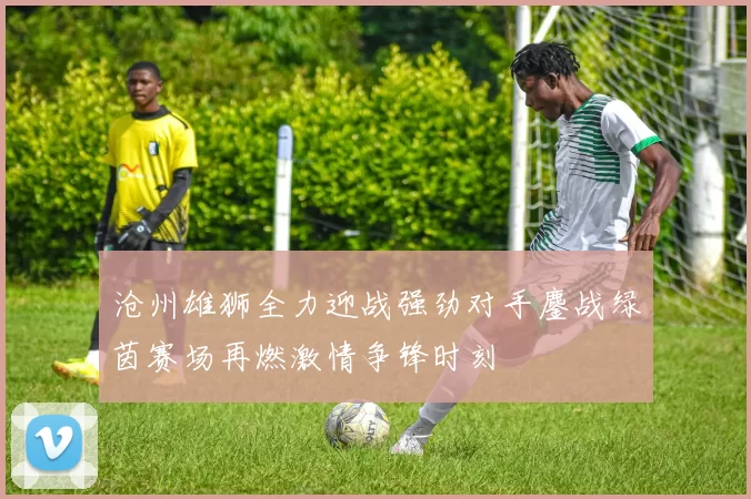 沧州雄狮全力迎战强劲对手鏖战绿茵赛场再燃激情争锋时刻