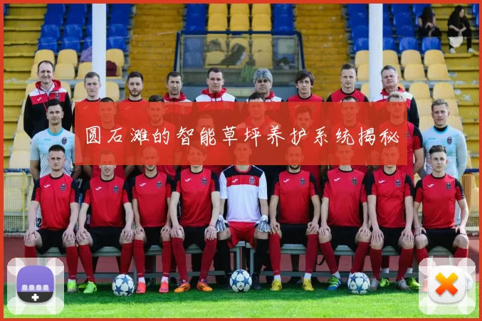圆石滩的智能草坪养护系统揭秘