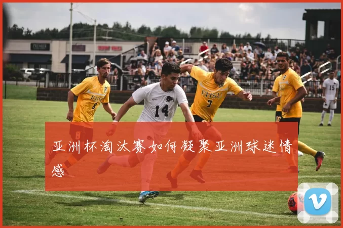 亚洲杯淘汰赛如何凝聚亚洲球迷情感