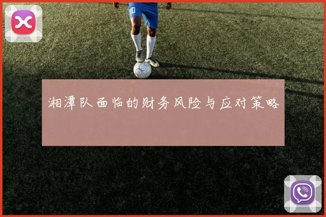 湘潭队面临的财务风险与应对策略