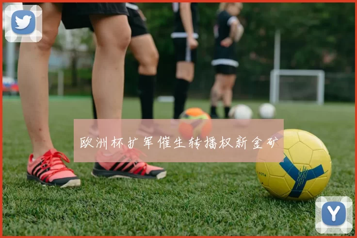 欧洲杯扩军催生转播权新金矿