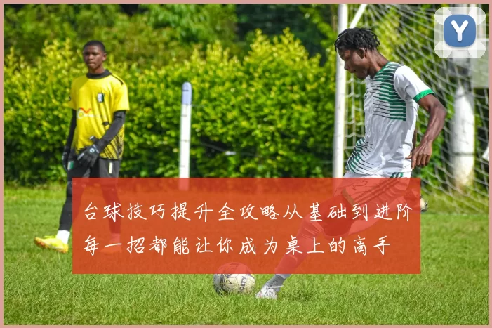 台球技巧提升全攻略从基础到进阶每一招都能让你成为桌上的高手