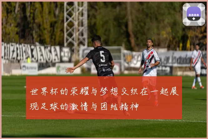 世界杯的荣耀与梦想交织在一起展现足球的激情与团结精神
