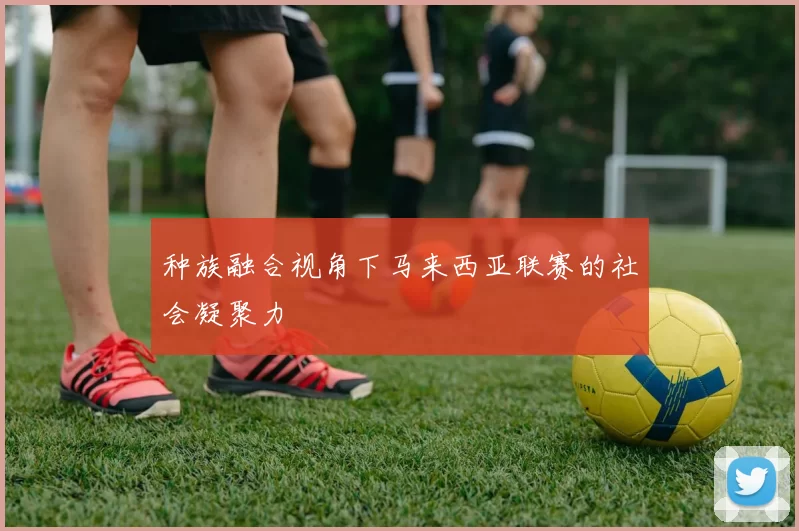 种族融合视角下马来西亚联赛的社会凝聚力